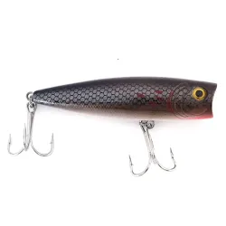 Bass Pro Shops XTS