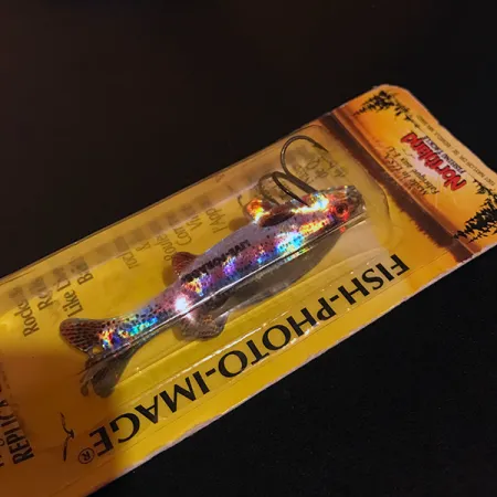 Northland Live Forage Ondulante, Trota Iridea, 7g, Realistico, #11150