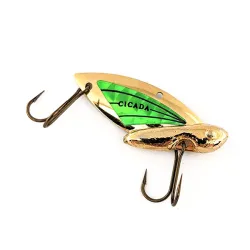 Reef Runner Cicada