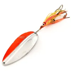 Main liner Squid