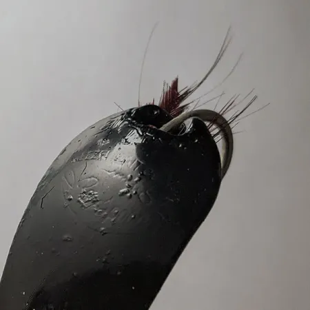 Weezel Rex Spoon, Nero 12g, Esca Ondulante #21779