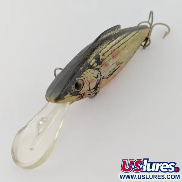 Bill Lewis DIVIN' MAG TRap Rat-L-Trap, Shad, 11g, Esca Artificiale #24344