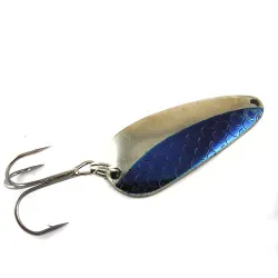 Rocky Mountain minnow