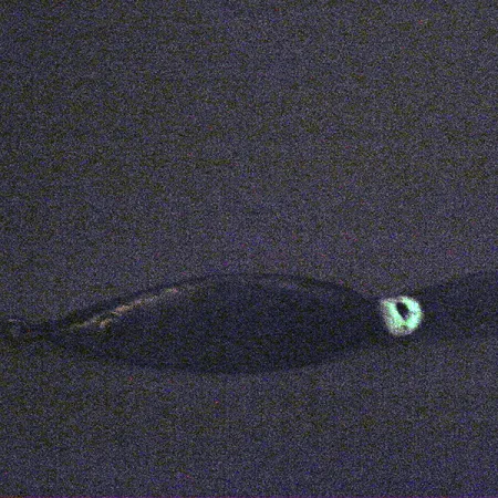 Weedless Fred Arbogast 3 Hawaiian Glow Ondulante, 16g, Antialga, #3338