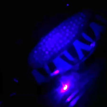 Blue Fox Rattlin Pixee UV Cucchiaino, Nickel / Blu, 24g, UV, #4556