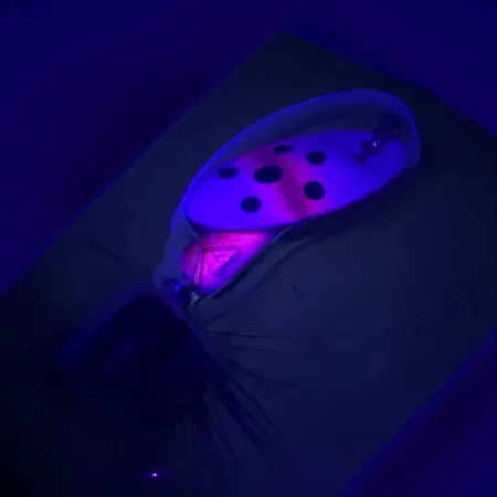 Panther Martin 4 Cucchiaino, Trota, 4g, Palletta Diretta, #4601