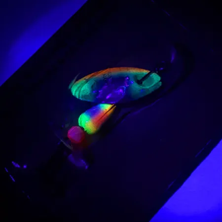 Panther Martin 2 Cucchiaino, Trota Iridea, 2.5g, FishSeeUV, #4602