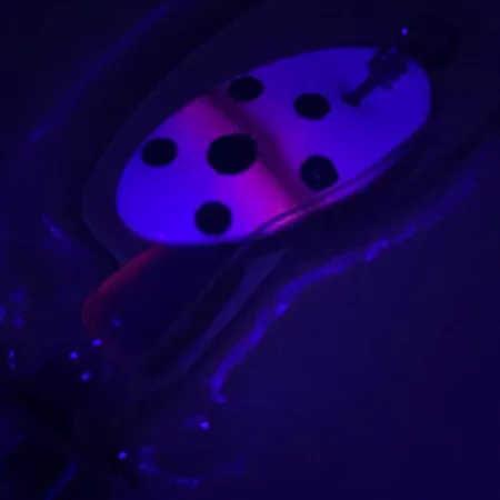 Panther Martin 2 UV Cucchiaino, Trota, 2,5g, Finitura UV, #4603