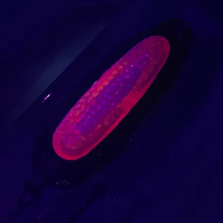 Blue Fox Rattlin Pixee UV Ondulante, Oro / Rosso, 14g, Rattlin, #4749