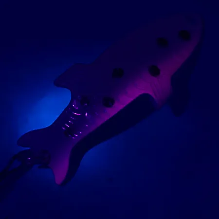 Ondulante Acme Phoebe, Trout/Nickel, 4g, Sagoma 3D, #5101