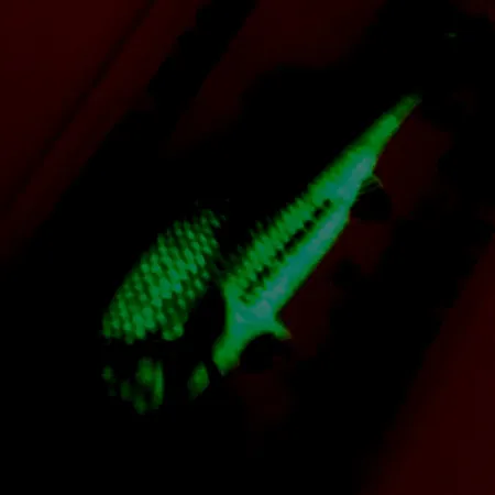 Northland Live Forage Glow Ondulante, Pesce Arcobaleno, 7g, Ottone, #5140