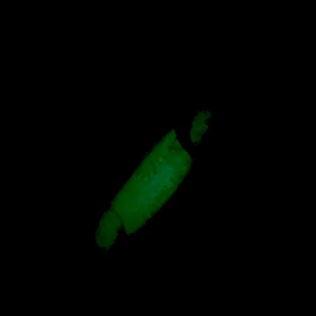 Luhr Jensen Crippled Herring Ondulante, Bianco/Verde UV Glow, 21g, #5921