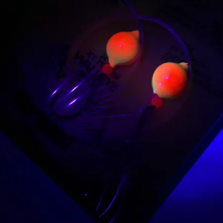 Northland Live Fishing Bait Roach Rig UV Montatura, Arancio, UV, #5967