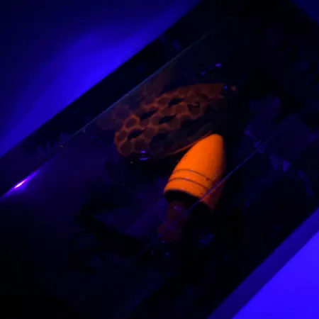 Luhr Jensen Fire Max Miracle 2 UV Rotante, Gambero, 7g, UV, #6044