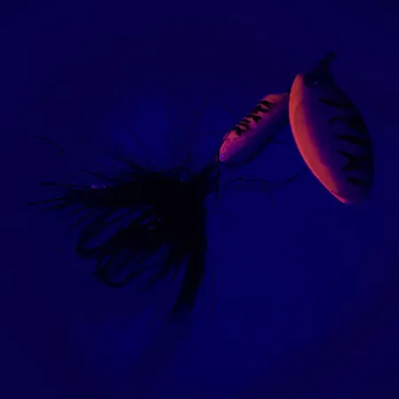 Yakima Bait Worden’s Original Rooster Tail UV Cucchiaino, Rainbow Perch, 2,6g, UV, #6451