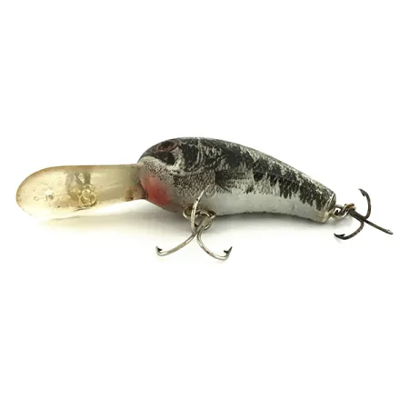 Cotton Cordell Big O Crankbait, Black/Silver/Gold, 10g, Floating, #6944