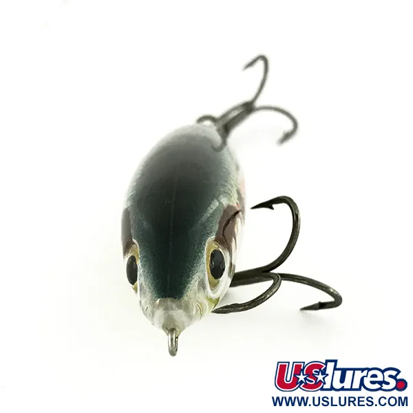 Rapala Skitter Walk WTD, Mullet, 12g, Coda Piombata, #7005