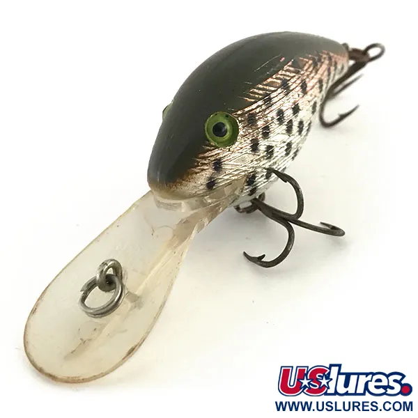 Rebel Deep Wee R Crankbait, Trota, 10g, Deep Diver, #8705