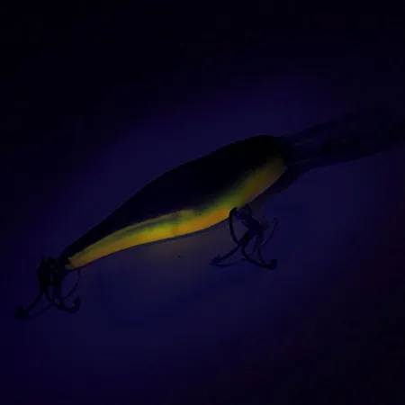 Rapala Shad Rap Deep Runner 07 Esca, Blu/Argento, 8g, Balsa, #8756