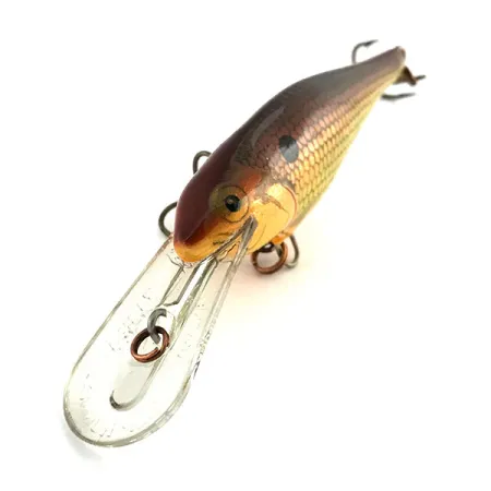 Rapala Shad Rap Deep Runner 07 Artificiale, Oro, 8g, Balsa, #9033