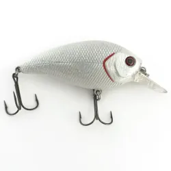 Matzuo Asai Shad