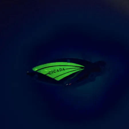 Reef Runner Cicada Blade Bait, Nichel / Verde, 14g, Luminescente, #9560