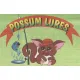 Possum
